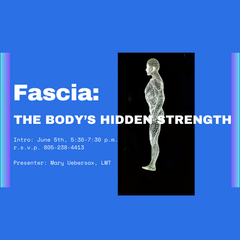 Fascia Clinic Intro