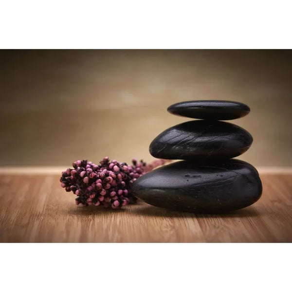 Love Offering Oct. 2nd for Vastu: Timeless Wisdom for Contemporary Living with Michael Mastro