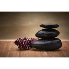 Love Offering Oct. 2nd for Vastu: Timeless Wisdom for Contemporary Living with Michael Mastro