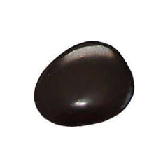 Shungite Tumbled Stone