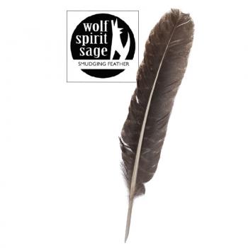 Imitation Eagle Feather for Smudging